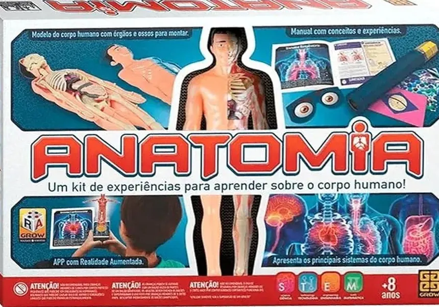 Anatomia